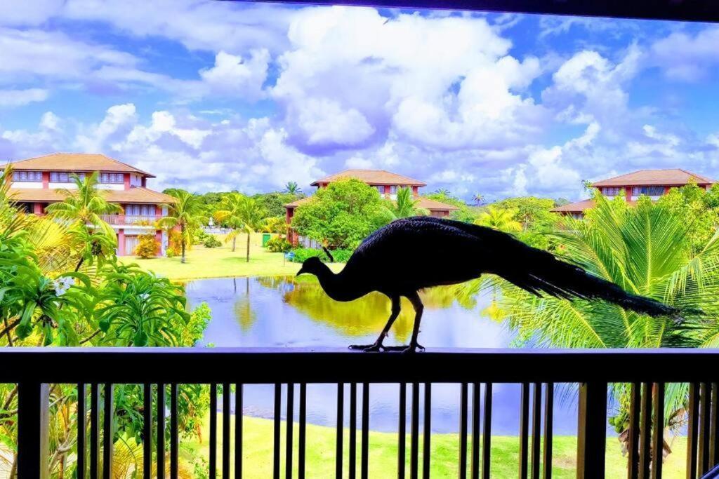 פראיה דו פורטה Piscinas Naturais Village Furstberger מראה חיצוני תמונה